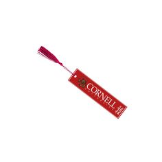 a red bookmark with a tassel hanging from it's end on a white background