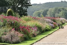 a garden with lots of different types of flowers and plants on the side of it