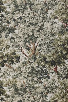 a tree with lots of green leaves and brown branches in the background is a wallpaper pattern