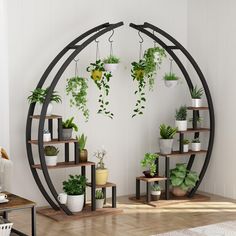 a living room filled with lots of plants and potted plants on shelves next to a white wall