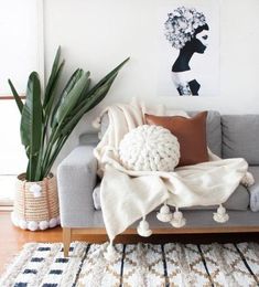 a living room with a couch, rug and potted plant