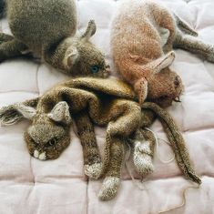 Cat by Claire Garland-Patterns-Claire Garland-Alpaca Direct Knit Animals, Claire Garland, Animal Knitting Patterns, Knitted Cat, Knitting Patterns Toys, Knitted Animals, Knit Alpaca, Free Knitting Pattern, Cat Pattern