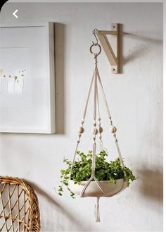 a potted plant hanging from a hook on a wall