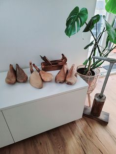 wooden shoes are lined up on a white shelf in front of a potted plant