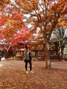 a woman standing next to a tree with red leaves