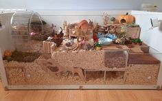 a display case filled with lots of different types of animals and plants on top of wood flooring