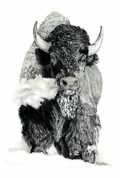 a black and white photo of a bison in the snow with it's horns curled up