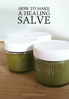 Chamomile Salve Recipe, Learn Herbalism, Diy Salve, Filipendula Ulmaria, Dried Calendula, Homemade Salve, Natural Medicines, Calendula Salve, Herbal Academy