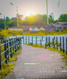 the sun shines brightly behind a black fence and green grass along a brick path