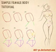 the drawing shows how to draw female body