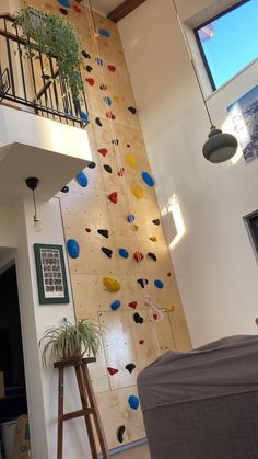 a climbing wall in a living room next to a window