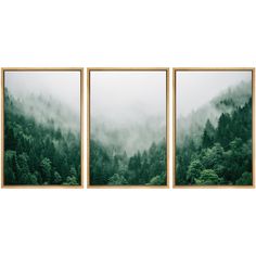 three framed pictures with trees in the background and foggy sky above them, hanging on a wall