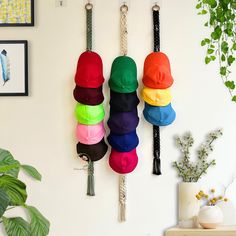 there are many hats hanging from the hooks on the wall next to plants and pictures