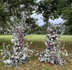 two tall white and purple flowers are in the grass next to each other near some trees