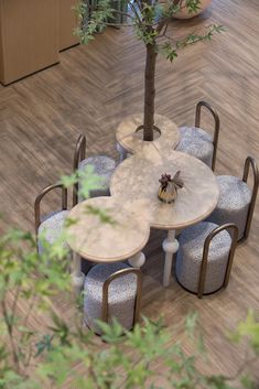 an aerial view of a table and chairs with a tree in the middle on top