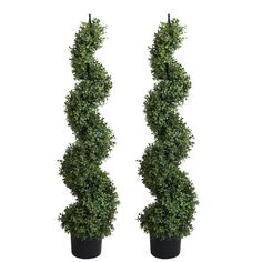 two tall potted plants are shown in the shape of a spirally shaped tree