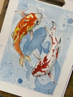 a painting of two koi fish in watercolor and ink on white paper with blue background