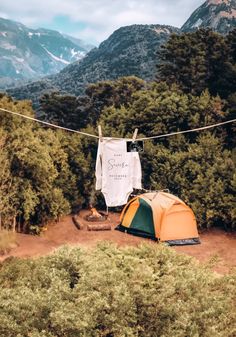 an orange and green tent sitting on top of a lush green forest