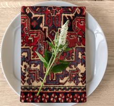 a white plate topped with a green plant on top of a wooden table next to a red and blue rug