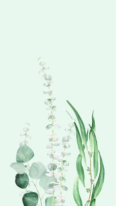 watercolor painting of white flowers and green leaves