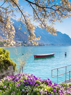 a boat floating on top of a lake surrounded by flowers