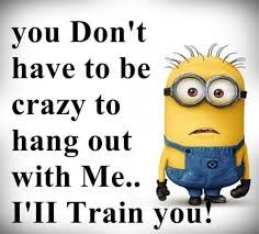 a despicable minion saying you don't have to be crazy to hang out with me i'll train you