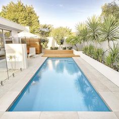 an empty swimming pool in the middle of a backyard with trees and plants around it