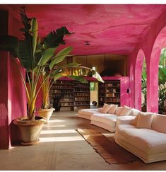 a living room filled with white couches and large potted plant in the corner