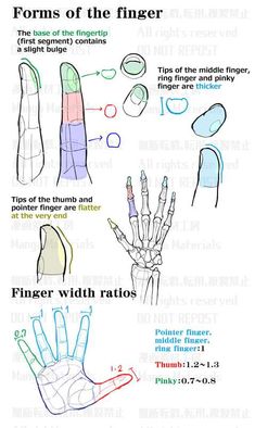 an image of different types of fingers and their corresponding parts are shown in this diagram