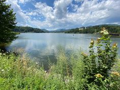 a lake surrounded by lush green grass and trees under a blue sky with white clouds