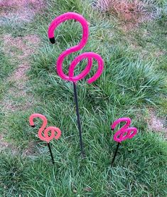 three pink flamingos are standing in the grass