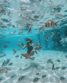 a woman swimming in the ocean surrounded by fish