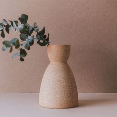 a vase with a plant in it sitting on a table next to the words west elm