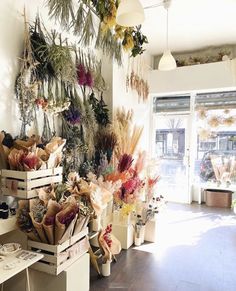 a room filled with lots of different types of flowers and plants hanging from the ceiling