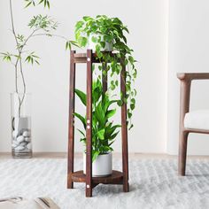 a potted plant sitting on top of a wooden stand in a living room next to a chair