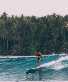 a woman riding a surfboard on top of a wave in front of palm trees