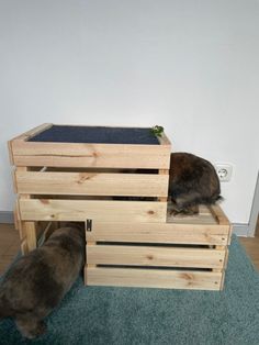 Kaninchen
Versteck
DIY
Selbstbauen 
Ikea Kisten Bunny Diy Toys, Bunny House Diy, Rabbit House Diy, Bunny Cage Ideas, Bunny Room Ideas, Rabbit Playground, Homemade Rabbit Toys, Diy Bunny Cage