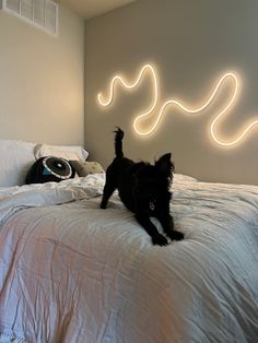 a black dog laying on top of a white bed