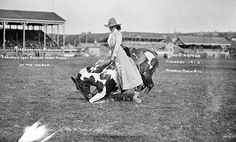 a woman riding on the back of a brown and white cow in an open field