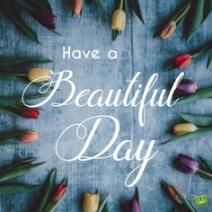 colorful tulips with the words have a beautiful day written in white on a blue background