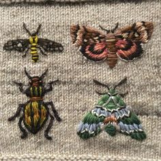 four different types of bugs and moths on a sweater