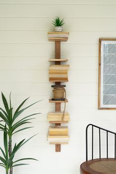 a potted plant sitting on top of a wooden shelf