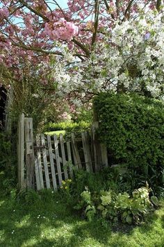 an old wooden gate is surrounded by flowering trees