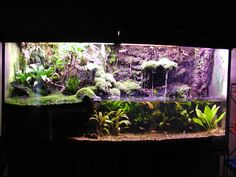 an aquarium filled with plants and rocks in a dark room next to a light fixture