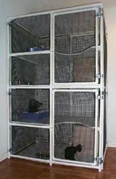 the cat is sitting in the large cage on the floor next to the door that leads into the room