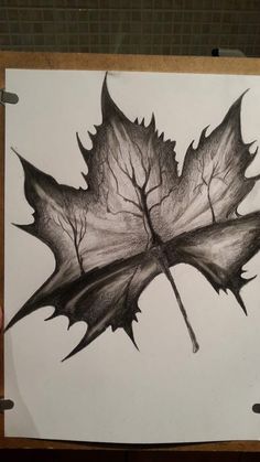 a pencil drawing of a leaf