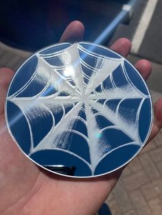 a hand holding a blue and white plate with a spider web design on it