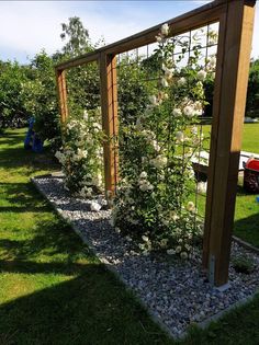 a garden with white flowers growing on the side of it and a wooden trellis