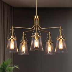 a chandelier with five clear glass shades hanging from it's brass frame