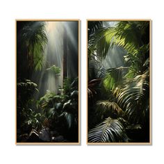 two framed pictures with sunlight shining through the trees and plants in front of them, on a white background